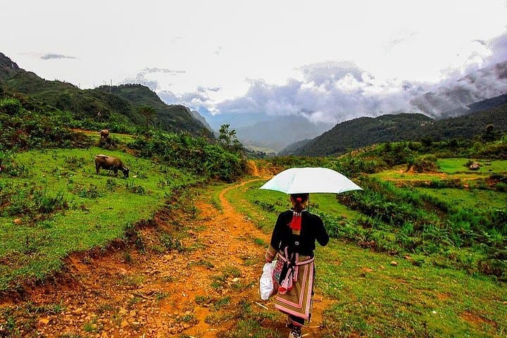 Sapa Easy Trekking Tour: Rice Terraces, Ta Phin Cave & Hill-Tribe Villages photo 3