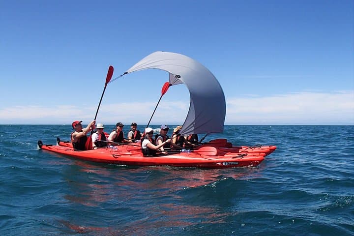 Kayak the Oarsome Marine Reserve: Tonga Island Seals & Abel Tasman Beaches photo 4