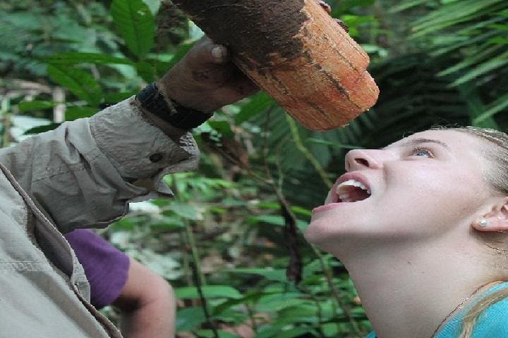 5-Day Amazon River Expedition from Iquitos: Ecolodge Jungle Immersion
