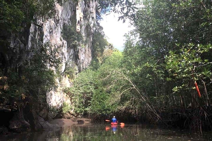Early-Start Mangrove & Limestone Canyon Kayak Tour in Krabi photo 3