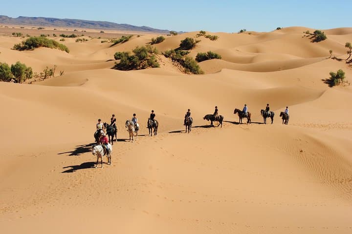 Morocco Desert Trail on Horseback: 6-Day Zagora to Jebel Bani Ride photo 2