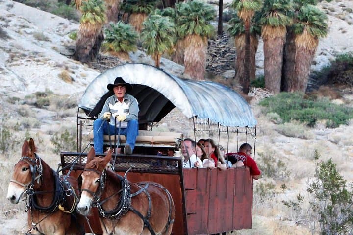 Covered Wagon Adventure & BBQ in Palm Desert — Mule-Drawn Sonoran Desert Tour
