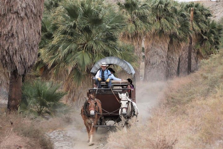 Covered Wagon Adventure & BBQ in Palm Desert — Mule-Drawn Sonoran Desert Tour photo 6
