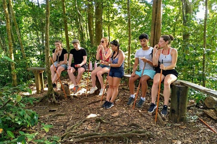 Vermont Nature Trail Tour — Kingstown Day Hike and Parrot Watching photo 2
