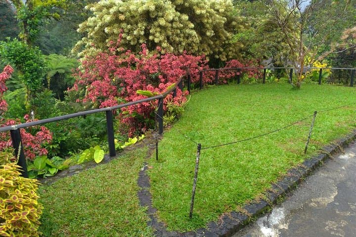 Montreal Gardens & Mesopotamia Valley Eco-Tour from Kingstown photo 2