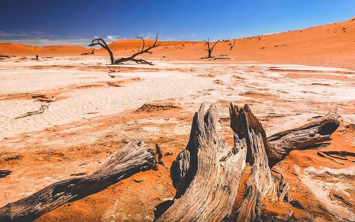 Sossusvlei 3-Day Dune 45, Big Daddy & Deadvlei Tour from Windhoek photo 2