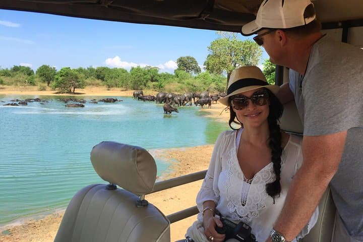 Yala Full-Day Safari in a Private Jeep with Picnic Lunch photo 3