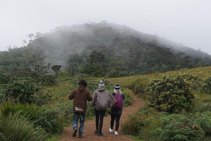 Horton Plains National Park Guide: World's End Hike & Baker's Falls, Nuwara Eliya photo 2