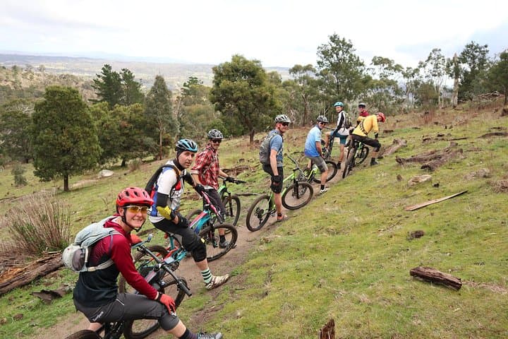 Explore Wombat State Forest & Harcourt Trails: Melbourne Mountain Bike Day Tour with Brewery Lunch