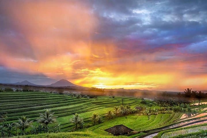 Custom Private Day Trip in Ubud — Design Your Bali Itinerary photo 3
