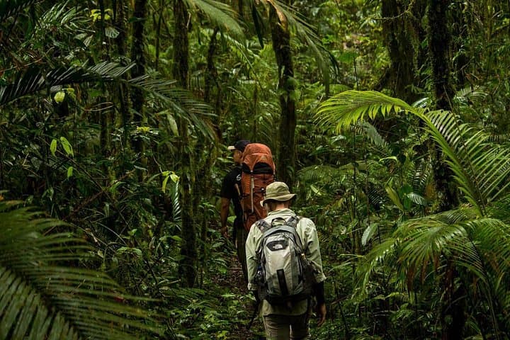 Tangkoko National Park Private Tour from Manado — See Tarsiers & Crested Macaques