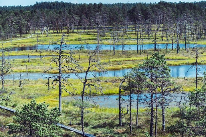 self-guided-walking-baltic-states-14-day-hike-through-lithuania-latvia-estonia