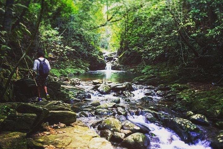 Bach Ma National Park 2-Day Trek: Hai Vong Dai Summit, Five Lakes & Hai Van Pass photo 5