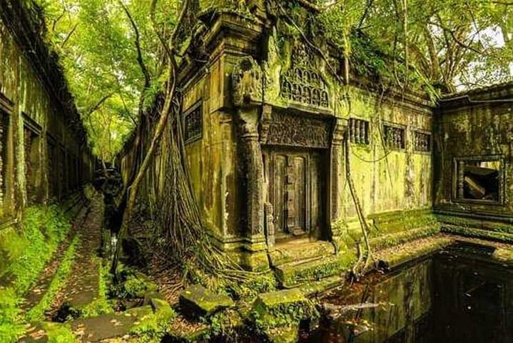 Koh Ker and Beng Mealea Day Tour: Explore Cambodia's Jungle Temples photo 3