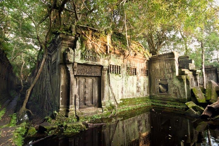 Koh Ker and Beng Mealea Day Tour: Explore Cambodia's Jungle Temples photo 4