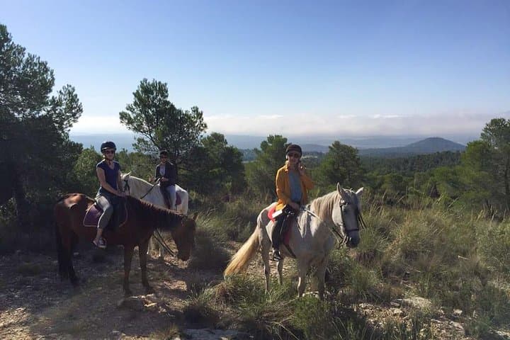 Horseback Riding and Wine Tasting in Utiel-Requena from Valencia photo 6