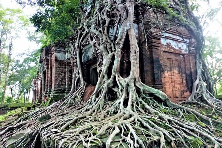 Koh Ker & Boeng Mealea Jungle Explorer: Off-Grid Temples Near Siem Reap photo 5