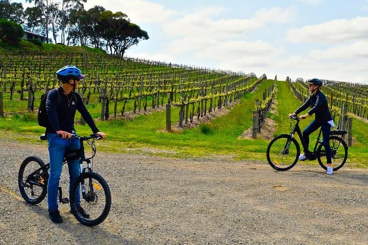Discover McLaren Vale on eBikes: Full-Day Wine Region & Coastal Ride photo 2