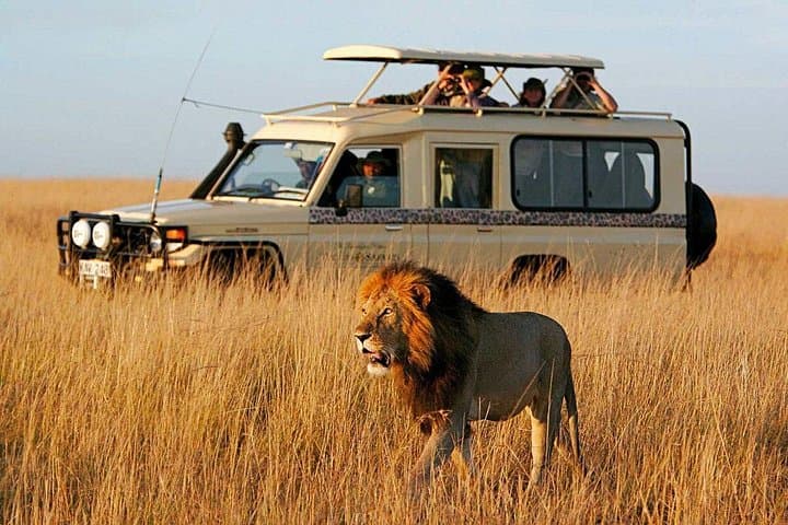 Ultimate 8-Day Kenya Flying Safari — Chyulu, Laikipia & Maasai Mara photo 3