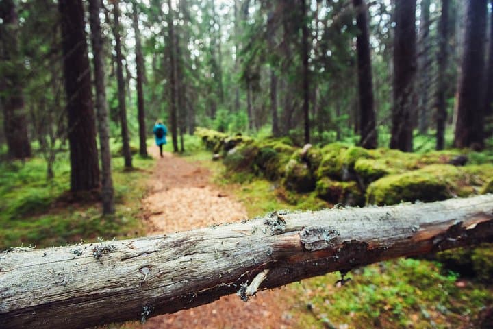 Guided Walking Across the Baltic States: 14-Day Lithuania Latvia Estonia Trek photo 1