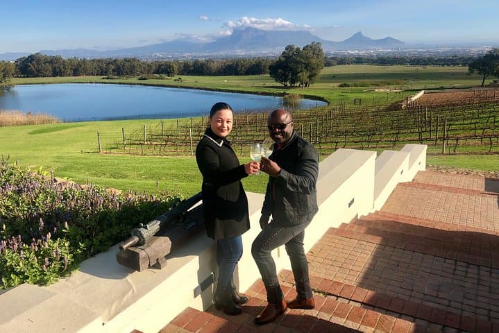 Private Durbanville Wine Tasting Tour: Top Estates & Table Mountain Views