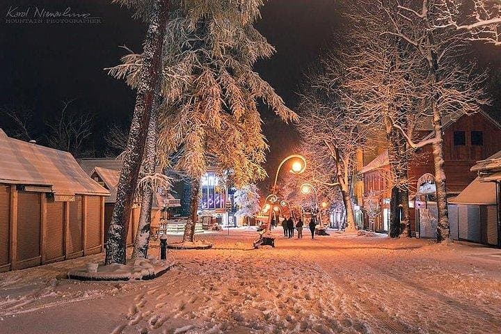 Zakopane Husky Ride: Private Winter Dog-Sled Tour from Krakow photo 4