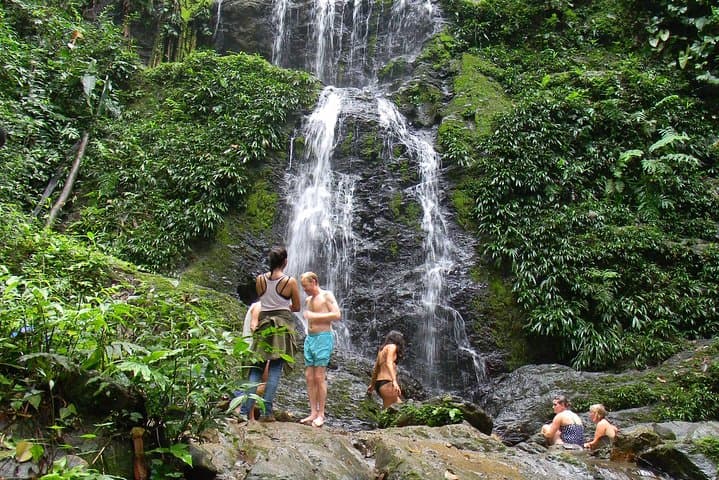 Brownsberg Full-Day Jungle Hike to Waterfalls — Suriname Rainforest Adventure photo 3