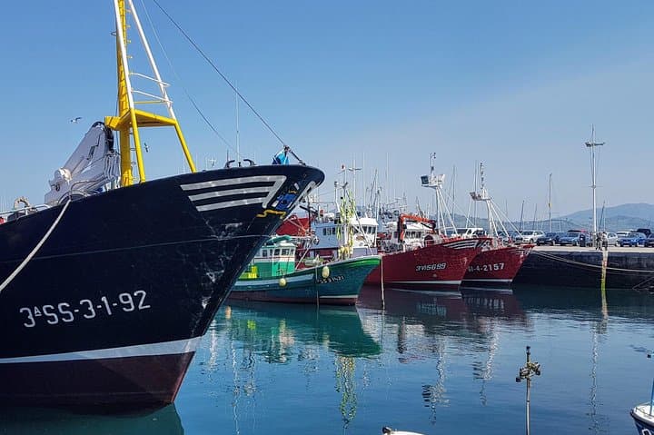 Ultimate Basque Coast Adventure: Getaria, Zumaia Flysch & Txakoli Wine Route photo 2