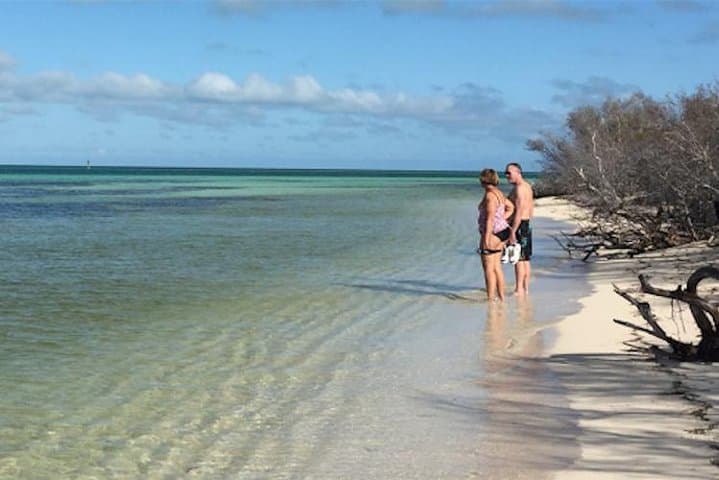 Key West Snorkel, Sandbar & Dolphin Excursion — Private Glass-Bottom Boat Trip photo 2