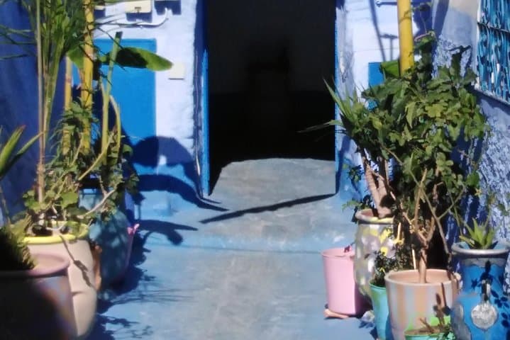 Day Trip from Fez to Chefchaouen: Explore Morocco’s Blue City in a Day photo 6