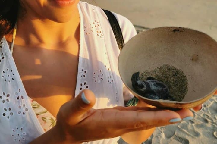Sunset Baby Turtle Release at Puerto Escondido Beach photo 3