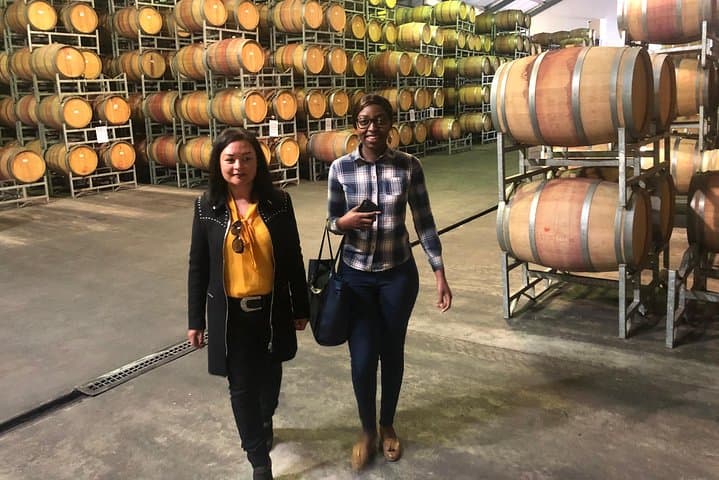 Private Durbanville Wine Tasting Tour: Top Estates & Table Mountain Views photo 5