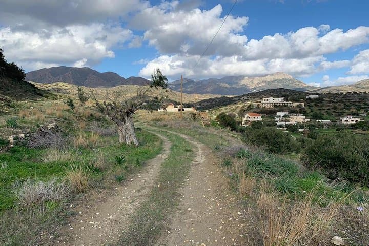 Valley Walk in Pigadia: Guided 7km Olive-Grove Hike on Karpathos photo 3