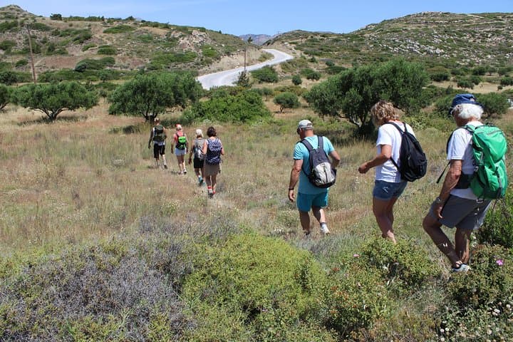 Valley Walk in Pigadia: Guided 7km Olive-Grove Hike on Karpathos