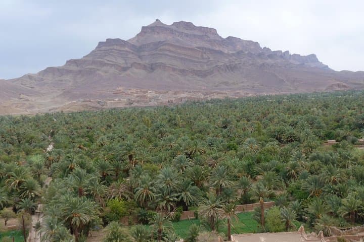 6-Day Morocco Kasbahs, Draa Valley & Erg Chigaga Desert Expedition photo 3