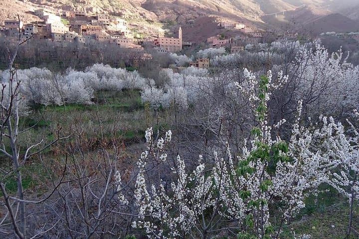 Atlas Mountains Day Trip from Marrakech: 4 Valleys, Waterfalls & Berber Villages photo 3