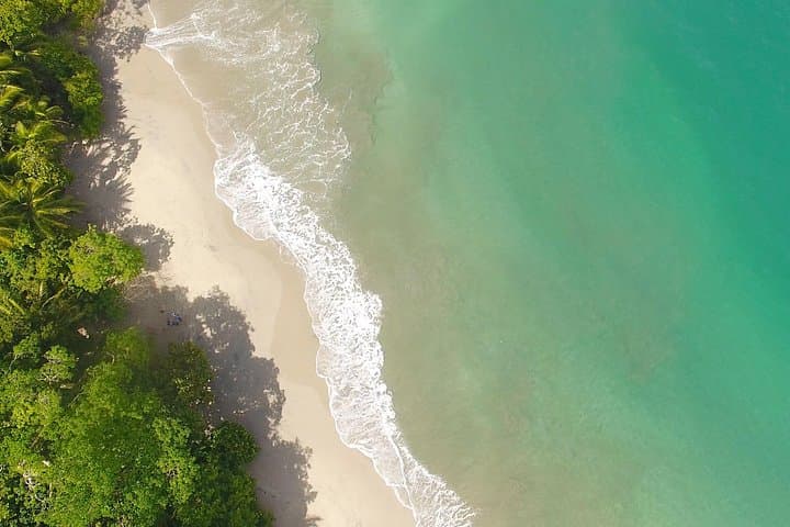 Manuel Antonio National Park Nature Walk — Wildlife, Beaches & Guided Trails in Costa Rica photo 4