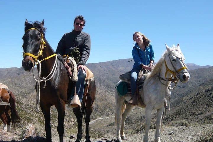 Sunset Horseback Riding in Lunlunta — Asado, Vineyards & Andes Views photo 5