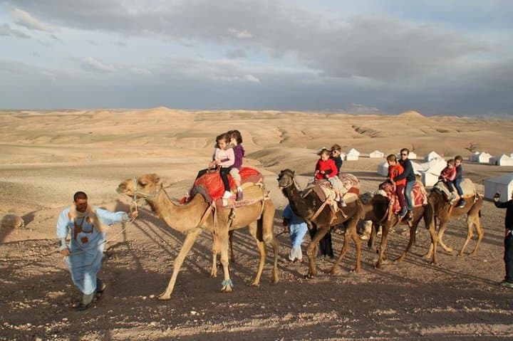Agafay Desert & Atlas Mountains Day Trip from Marrakech — Waterfall, Berber Lunch and Camel Ride photo 6