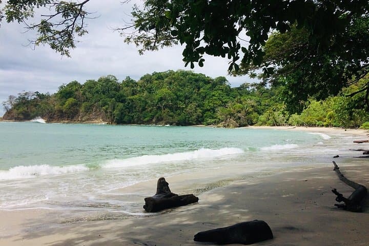 Manuel Antonio National Park Nature Walk — Wildlife, Beaches & Guided Trails in Costa Rica photo 3