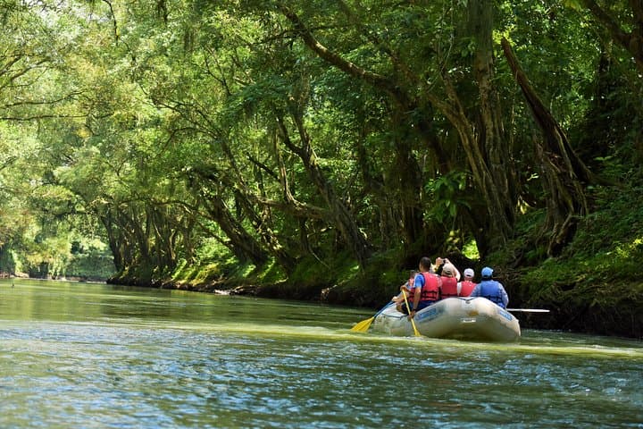 Peñas Blancas River Safari Float — Wildlife Cruise from La Fortuna photo 2