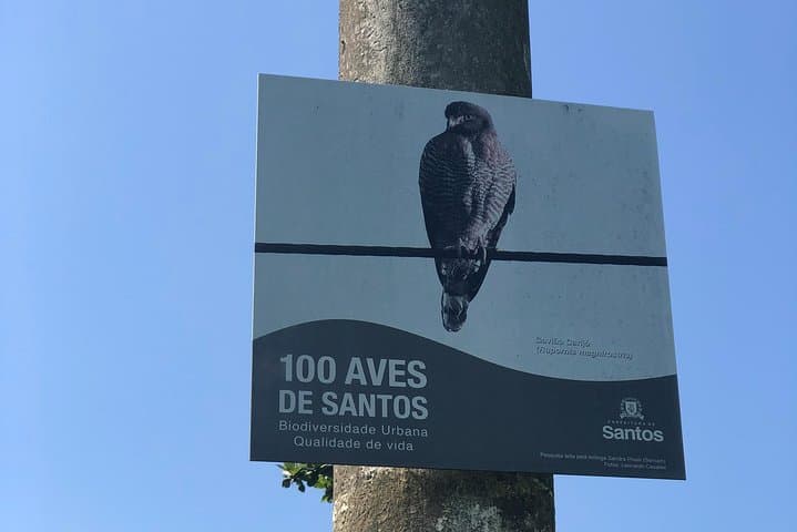 Walk Santos’ World-Record Beach Garden: A 4-Hour Coastal History and Botany Walk photo 2