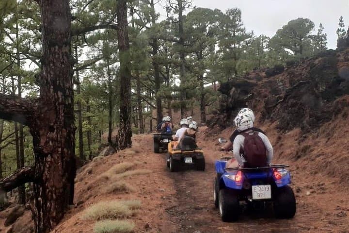 Quad Adventure Forestal: 35km Teide National Park ATV Tour