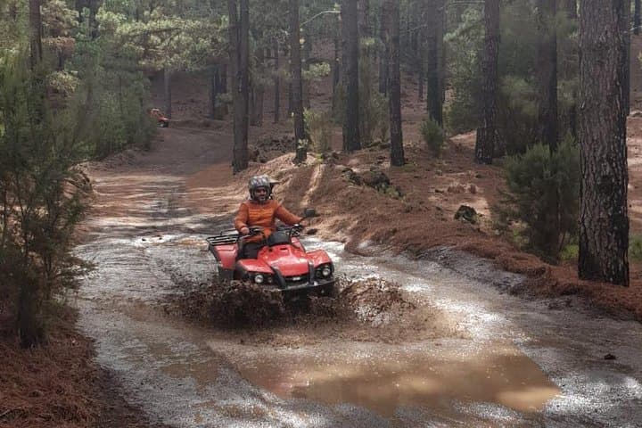 Quad Adventure Forestal: 35km Teide National Park ATV Tour photo 4