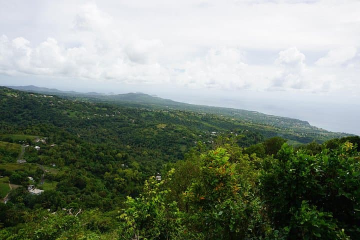 Rainforest Waterfall Adventure Near Soufrière — Hike to Sapphire Falls & Mineral Pools photo 4