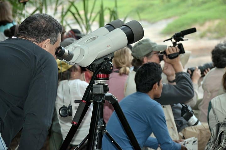 Chuncho Macaw Clay Lick Full-Day — Tambopata Macaws & Jungle Wildlife photo 5