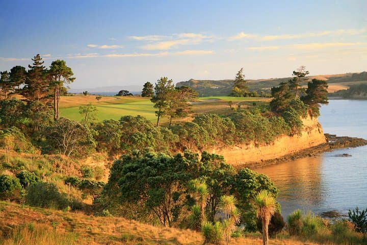 Auckland Airport to Hibiscus Coast & Whangaparaoa Shuttle — Private Transfers and Small-Group Options