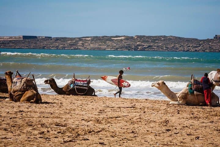 9-Day Private Morocco Desert & Imperial Cities Tour from Marrakech photo 2