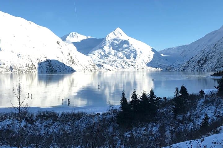 Winter Wildlife and Turnagain Arm Tour from Anchorage