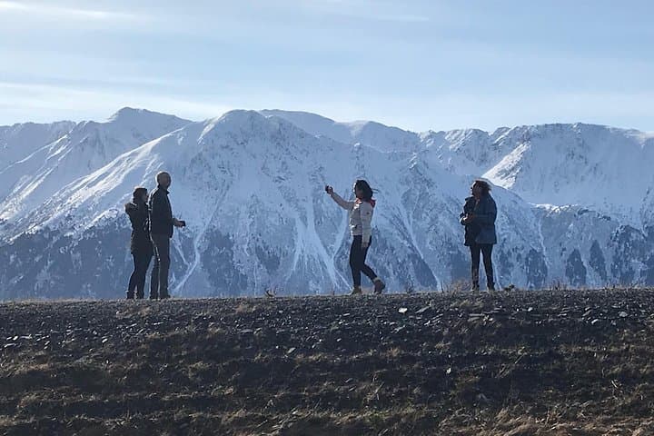 Winter Wildlife and Turnagain Arm Tour from Anchorage photo 5